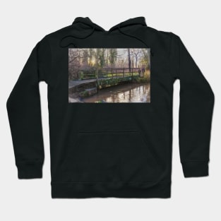 A Stroll In The Woods Hoodie